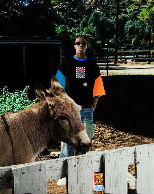 Aa sikt’r renkli / siyah oversize midi tasarım tişört - melongeneCo