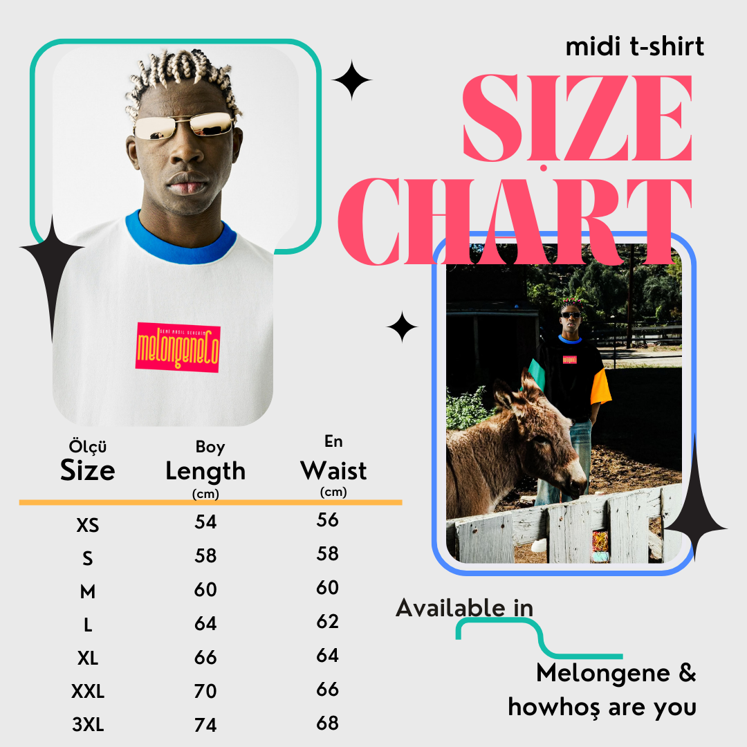 Aa sikt’r renkli / beyaz oversize midi tasarım tişört* - melongeneCo