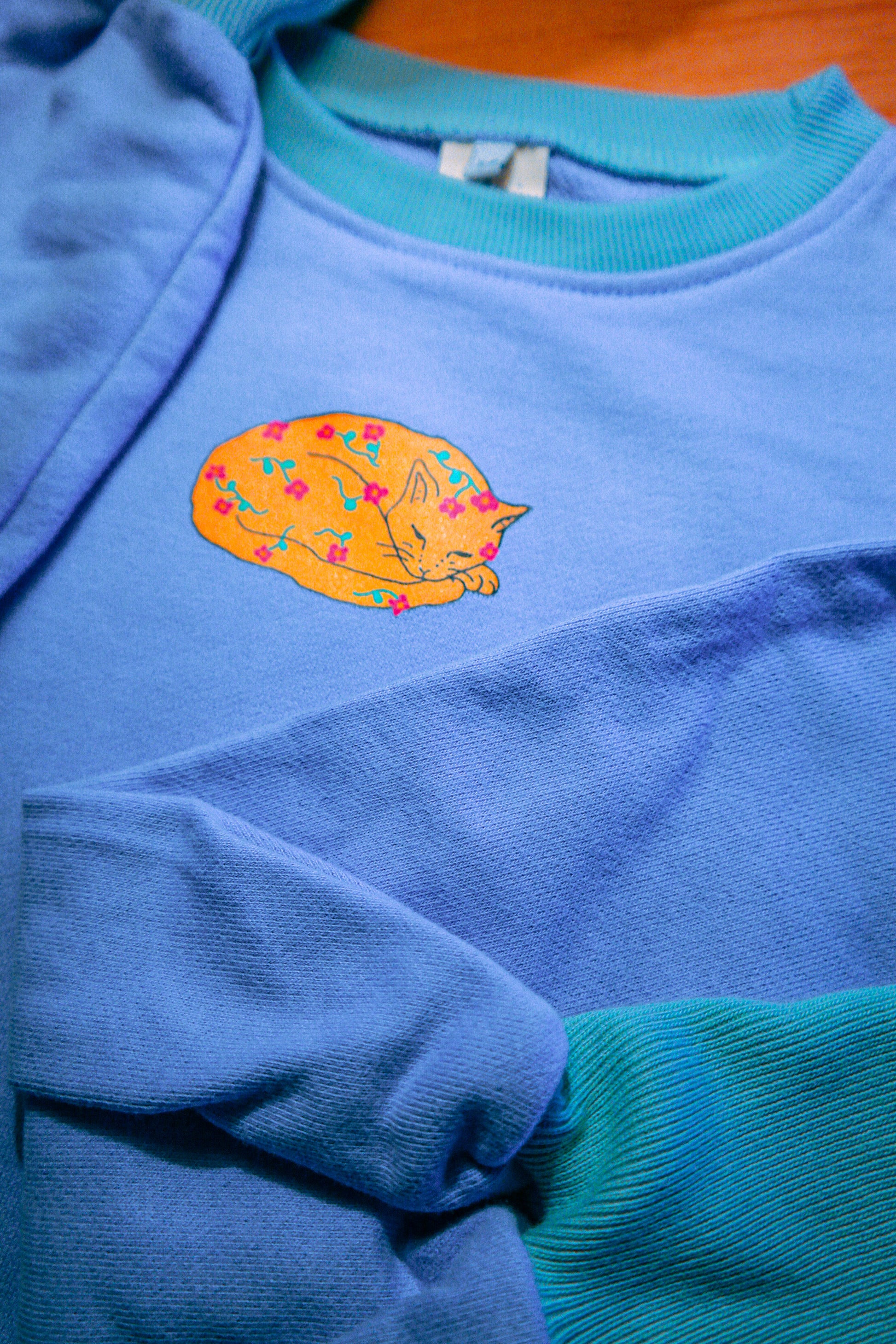 Sleppycat mint & lila crop sweatshirt - melongeneCo