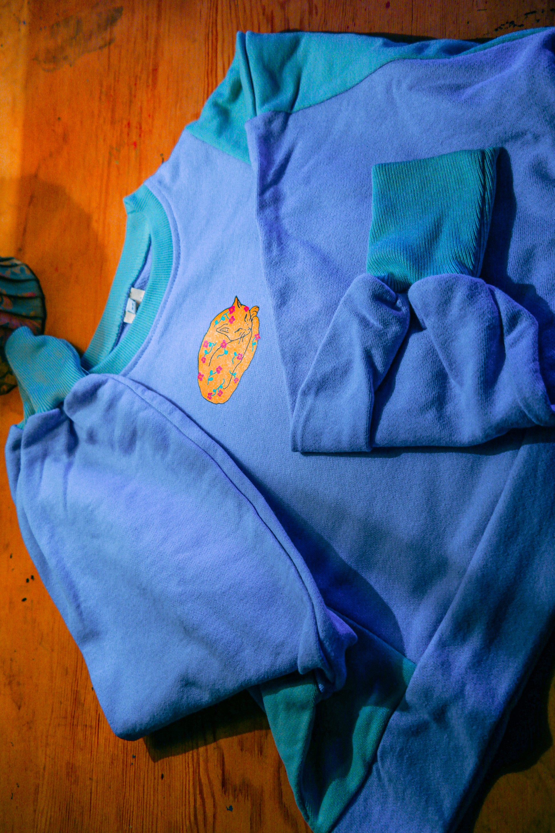 Sleppycat mint & lila crop sweatshirt - melongeneCo